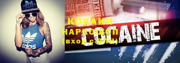 прущие грибы Армянск