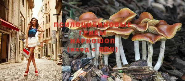 синтетический гашиш Арсеньев