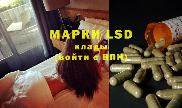 прущие грибы Армянск
