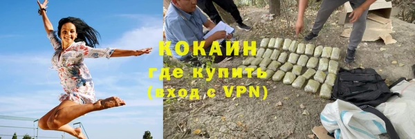 прущие грибы Армянск