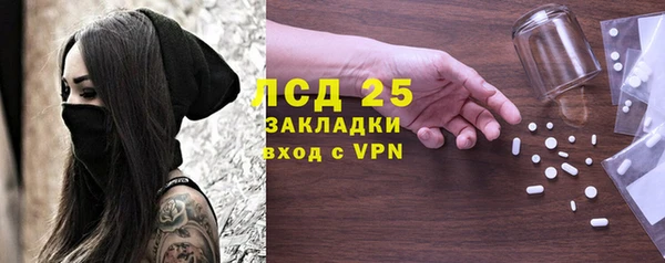 прущие грибы Армянск